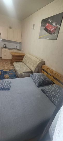 1-к. квартира, 26,1 м², 19/19 эт.