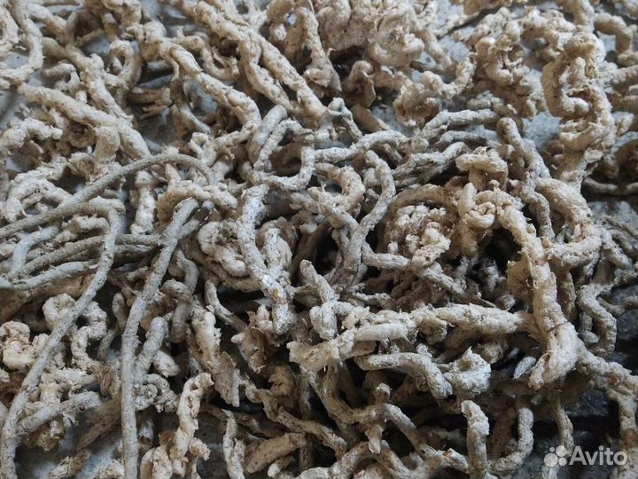 Гипоаллергенный корм для собак и кошек 10 кг