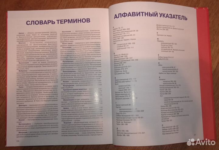 Красная книга Земли. Детская энциклопедия