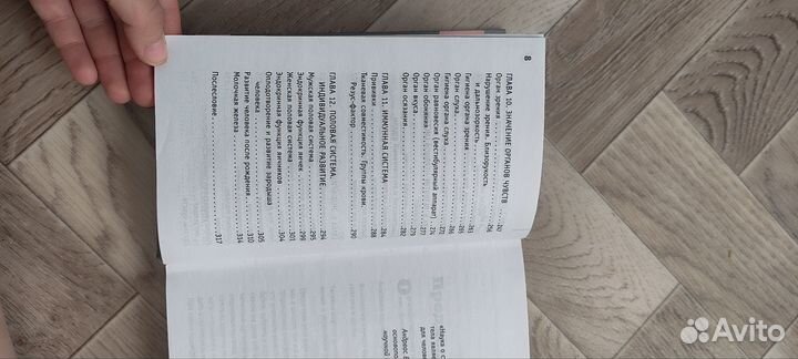 Анатомия на пальцах