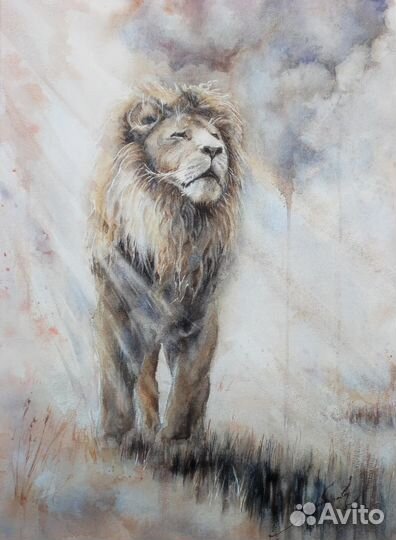 Картина лев в лучах солнца
