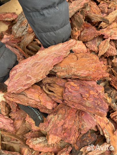 Мульча сосны и лиственницы с доставкой