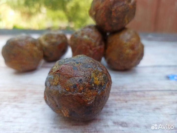 Прополис пчелиный