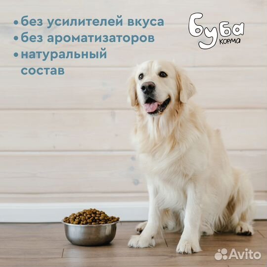 Корм для собак