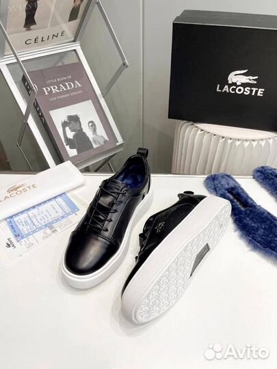 Кеды мужские зимние lacoste