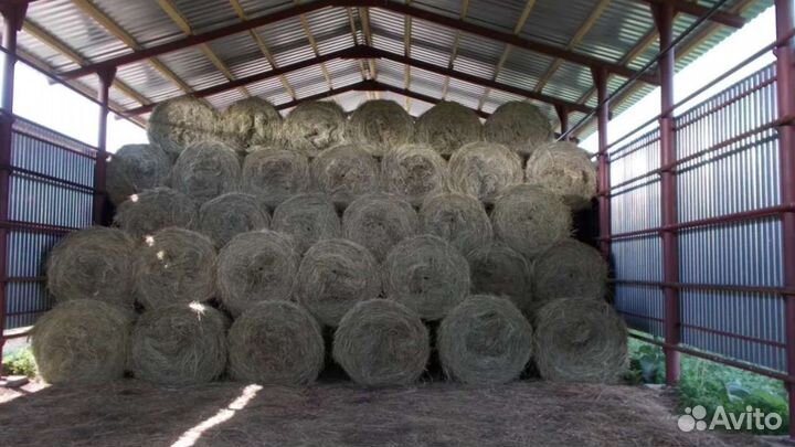 Сено мелкое,ароматное