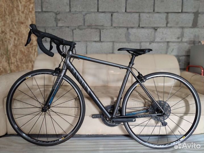 Canyon Endurance AL (шоссейный)