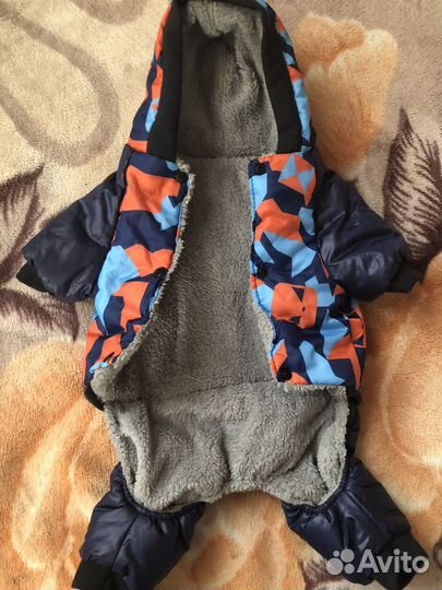 Одежда для собак