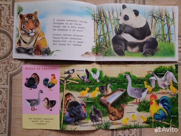 Позновательные детские книжки про животных