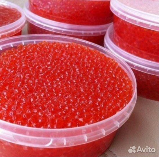 Икра красная. Мидии. Устрицы. Рапан. Гребешок