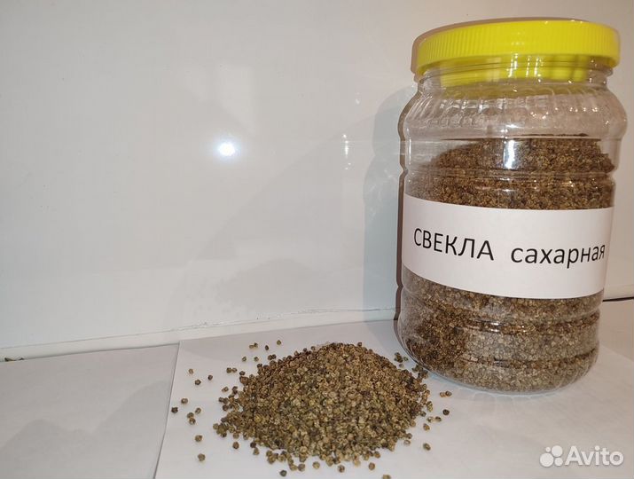 Семена Свекла сахарная протравленная