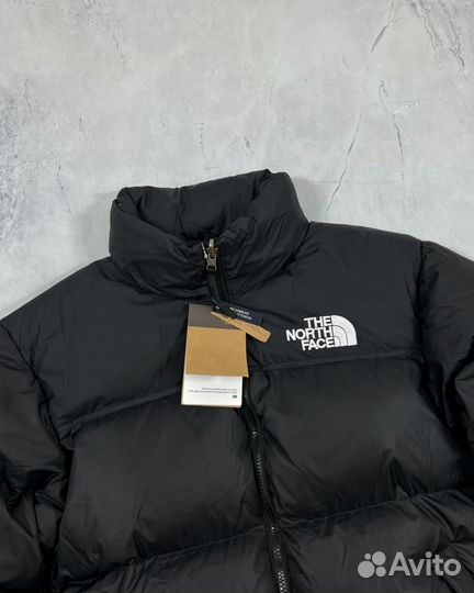 Куртка зимняя tnf 700