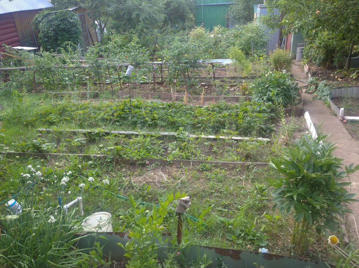 Дача 50 м² на участке 4 сот.