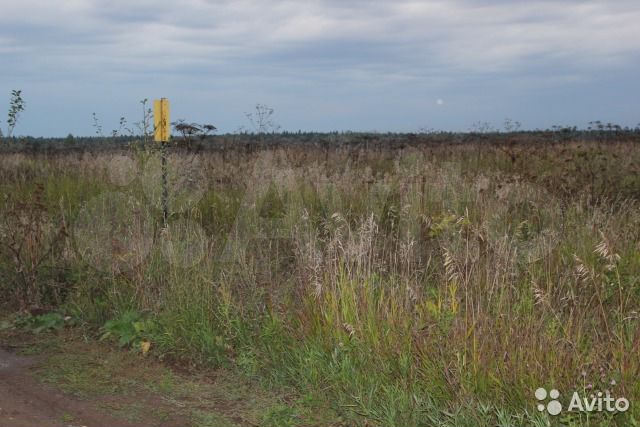 Участок 15 сот. (ИЖС)