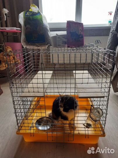 Клетка для шиншиллы