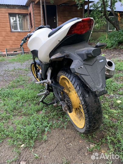Falcon speedfire 250