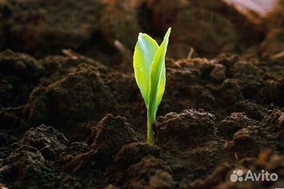 Трехкомпонентный грунт