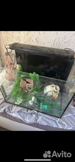 Аквариум