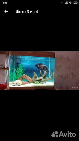 Продам два аквариум