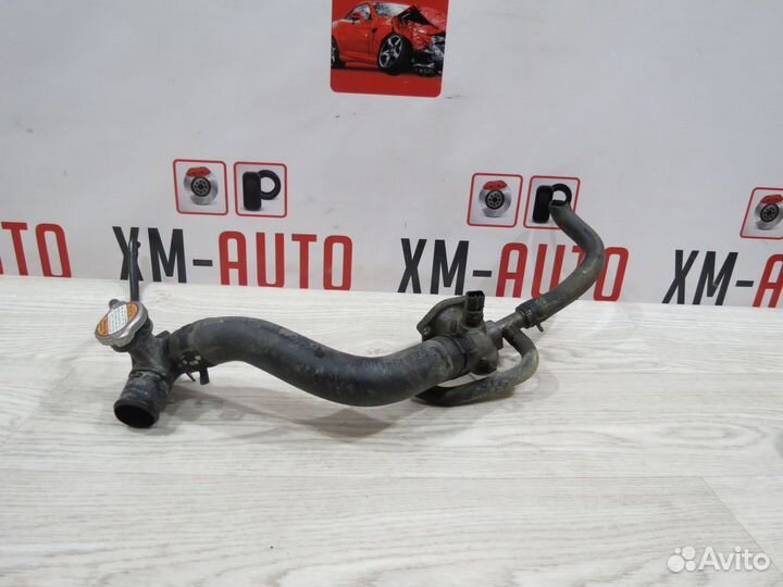 Горловина радиатора Kia Rio 3