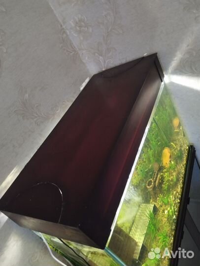 Аквариум с тумбой 156 литров