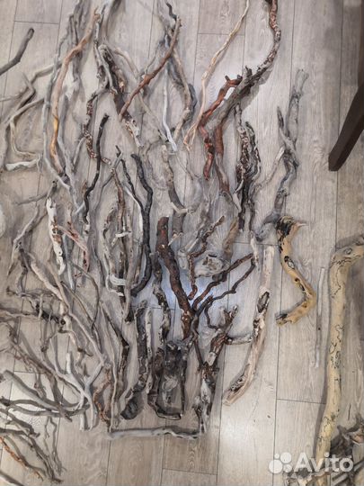 Коряги, ветки, стволы с Чёрного моря (дрифтвуд)