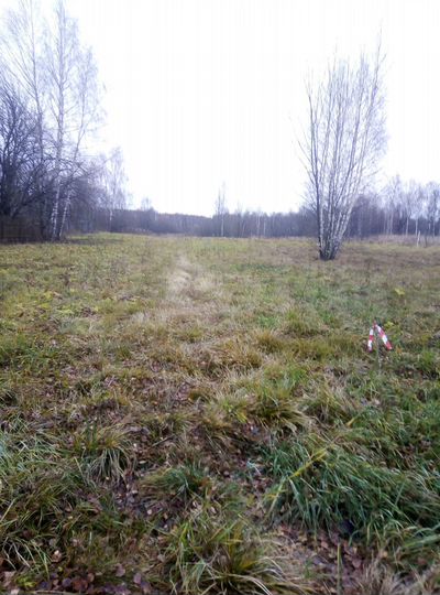 Участок 15 сот. (ИЖС)