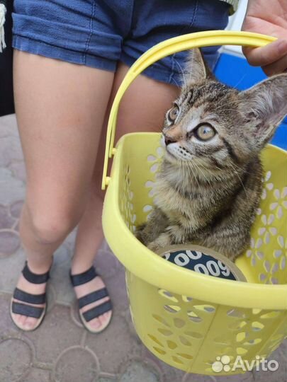 Малышу нужен дом