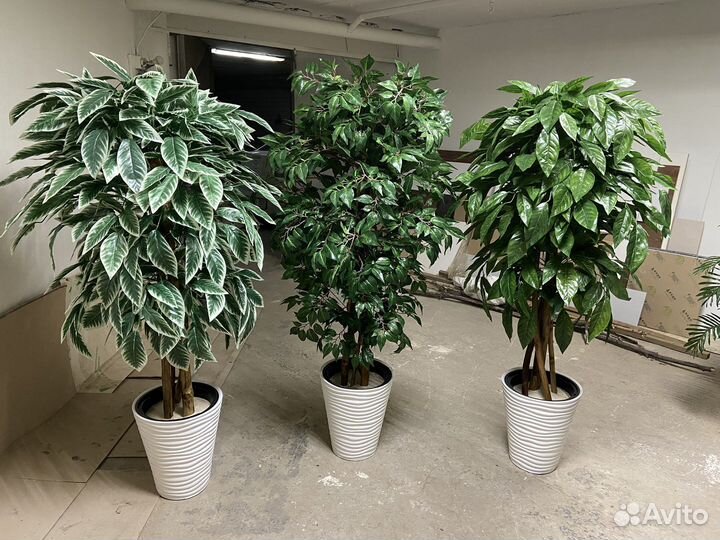 Искусственное дерево Уфа / озеленение офиса