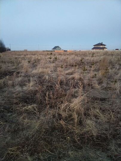 Участок 10 сот. (ИЖС)