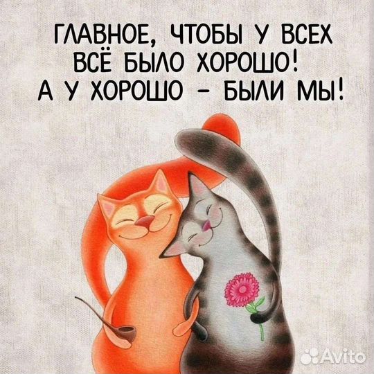 Передержка кошек на время отпуска