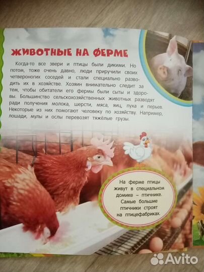 Коллекция Детские энциклопедии