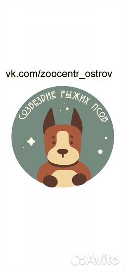 Зоогостиница/Дрессировка/Передержка