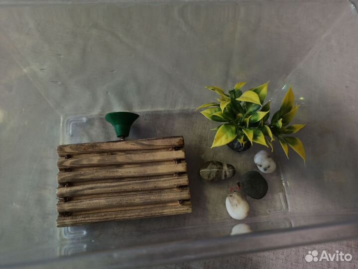 Аквариум для черепахи