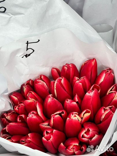 Тюльпаны к 8 марта