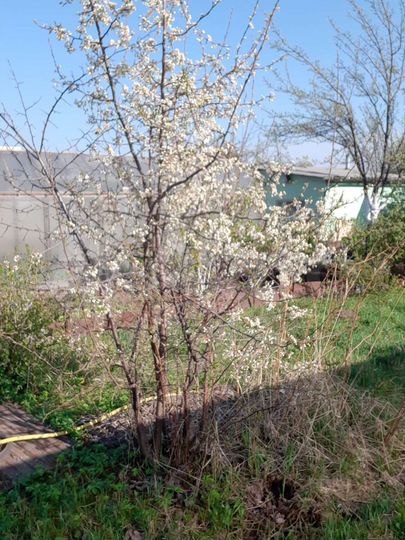 Дом 20 м² на участке 6 сот.