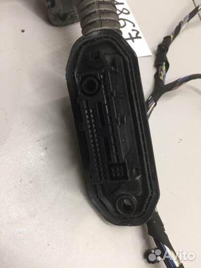 Электропроводка двери задняя правая (BMW X3)