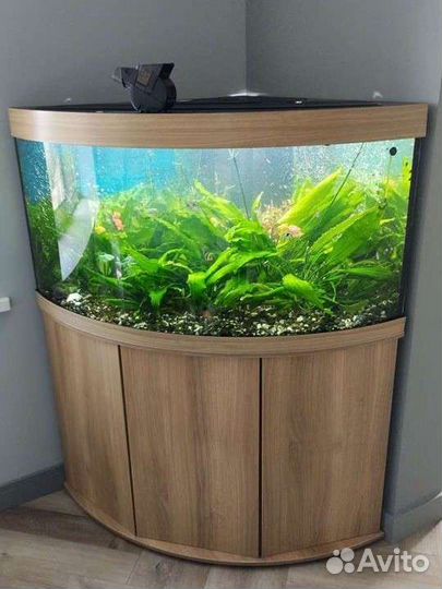 Обслуживание аквариумов