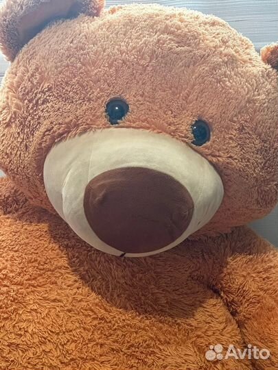 Плюшевый мишка