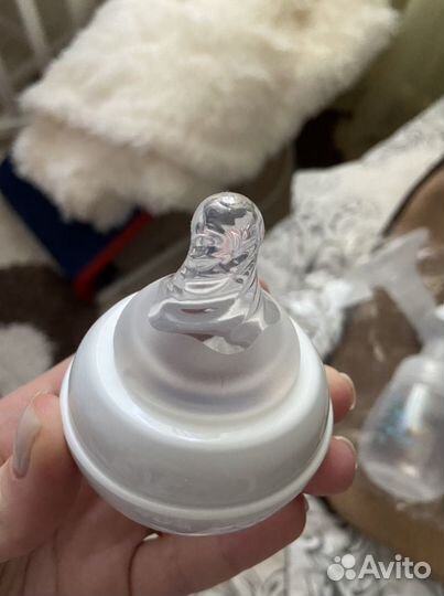 Молокоотсос