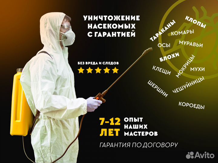 Уничтожение клопов тараканов клещей дезинсекция
