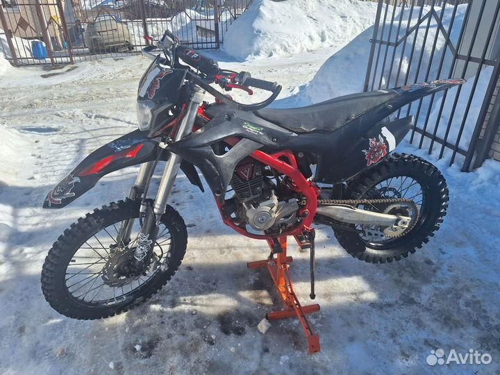 BSE Z11