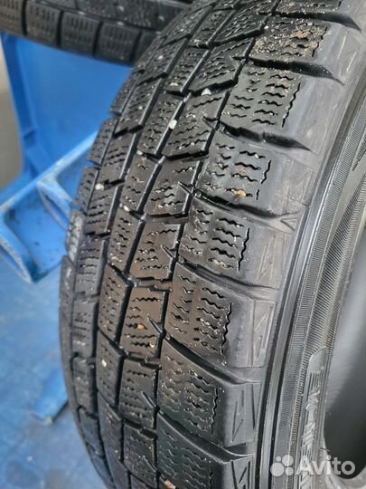 Dunlop Winter Maxx 175/65 R14 82T