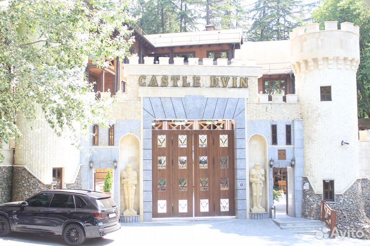 Певица в ресторан 