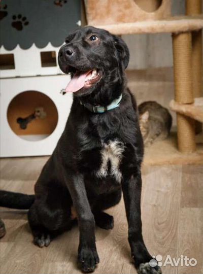 Девочка 9мес