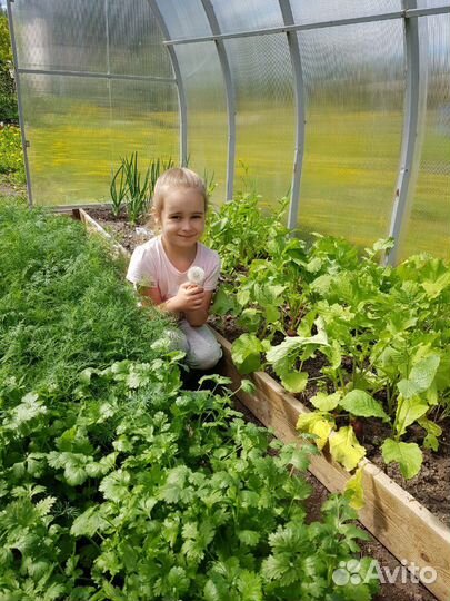 Няня на даче сезон 2023 детский лагерь