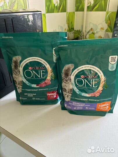 Корм для кошек