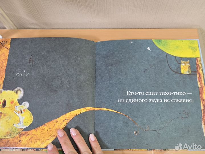 Сонная книжка Иль Сунг На