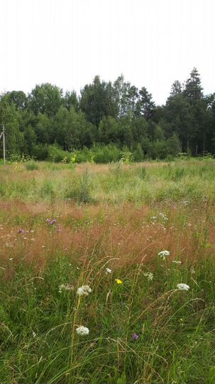 Участок 15 сот. (ИЖС)