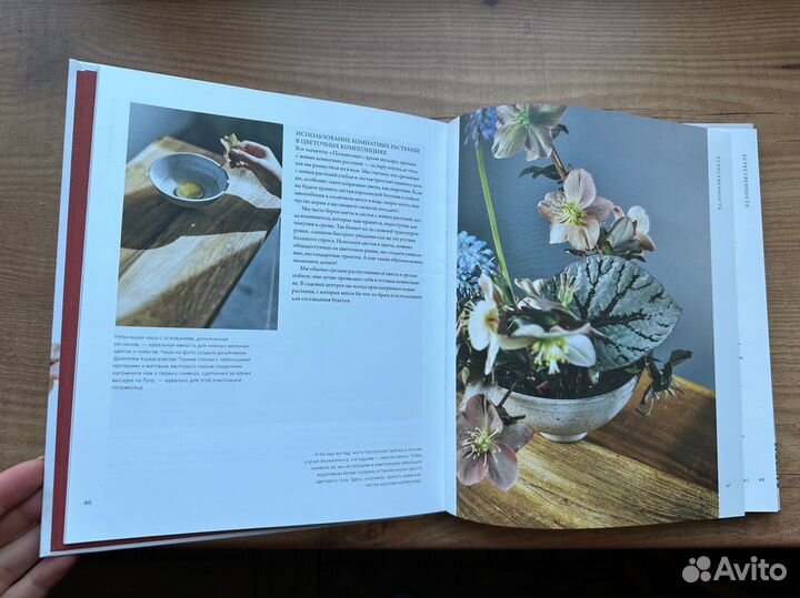 Рождение, Королевство насекомых, Икебана